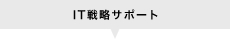 IT戦略サポート